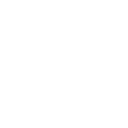 pushkin-media.ru